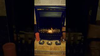 ? DIY fake fire with LED flame light, coals and dry Cordyline leaves ?
