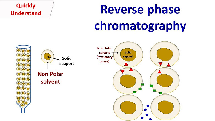 Ion-pair reversed-phase rp liquid chromatography là gì năm 2024
