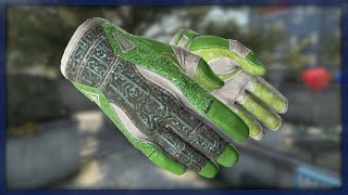 Sport Gloves | Hedge Maze (Field-Tested)