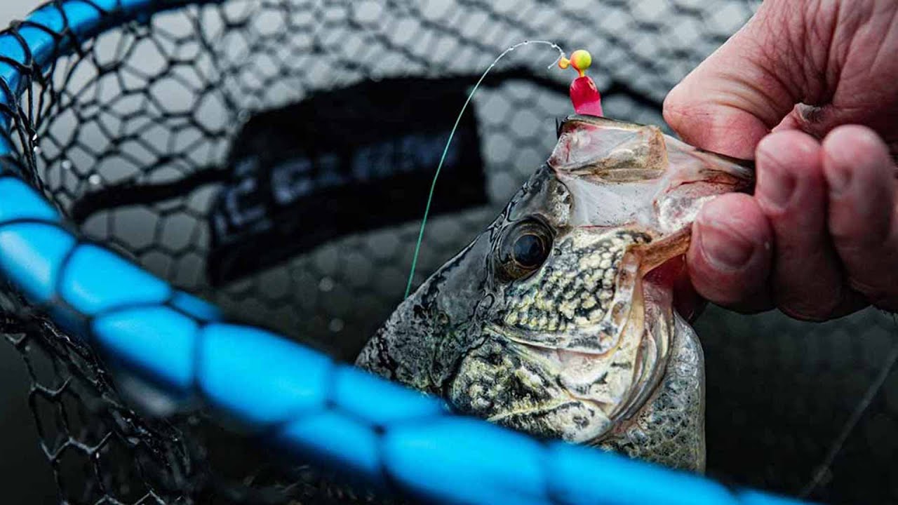 best fishing pole for bass and catfish Best Catfish Rods | A Guide To Choosing the Right Rod