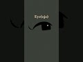 eye