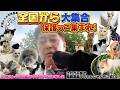 【全国から大集合!】保護っこ集まれ!