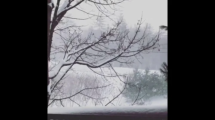 February 13, 2017