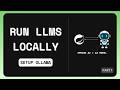 Run LLMs Locally: Ollama Setup Guide (Windows & Linux)