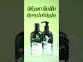 Tea Tree Oil Scalp Treatment Shampoo And Conditioner Papaanaorganic شامبو وبلسم الشاي الأخضر 