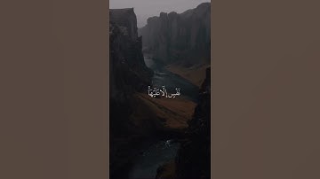 القرآن الكريم | قل اغير الله ابغي رباً وهو رب كل شيء🕊️🤍