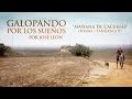 José León presenta 'Mañana de Cacerías' 🐾 - Poemas y Fandangos sobre Galgos y Tradiciones Españolas