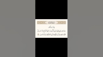 سورة البقرة 186| ياسر الدوسري