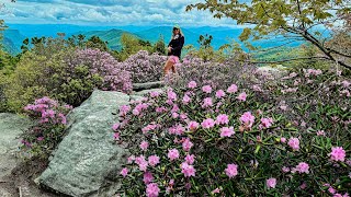Hawksbill Mountain | May 2025 - Linville Gorge Wilderness - Hike Vlog 134