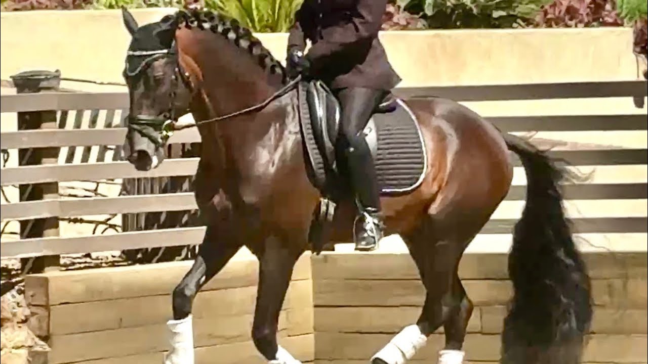 January 16 2026 Vinero / Kimberly monk fourth level test 1 open