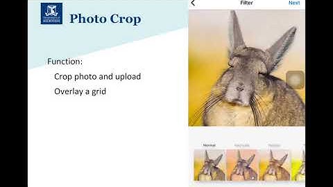 COMP90018 Group58: Instagram Demo Video