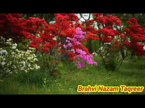 مولانا علی شیر بروھی صاحب براھوی زبان میں تقریر