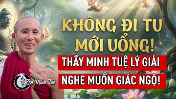 Không Đi Tu Mới Uổng! - Thầy Minh Tuệ Lý Giải Theo Phật Pháp Nghe Muốn Giác Ngộ!