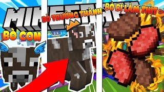 CÁCH NUÔI CON BÒ TRONG MINECRAFT GIỐNG NHƯ ĐỜI THẬT*SỰ TIẾN HÓA CỦA CON BÒ TRONG MINECRAFT*