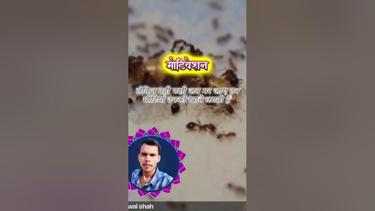 sunmica-ka-bhokana-hota-hai-video-youtube