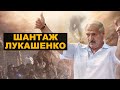 Лукашенко пошел ва-банк – мигранты на границе ЕС