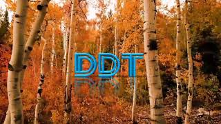 Заставка "DDT-Media" (осенний,  другая музыка)