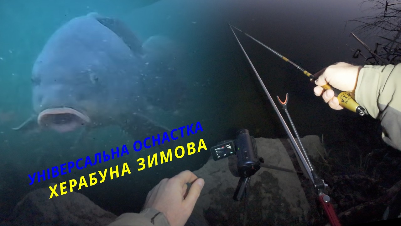 ХЕРАБУНА - УНІВЕРСАЛЬНА ОСНАСТКА! #herabuna #fishing #tanago #streetfishing #floating #タナゴ  #ヘラブナ