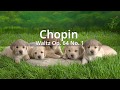 쇼팽 강아지 왈츠 피아노버전 Chopin Waltz Op. 64 No. 1