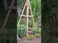 Garden Trellis Obelisk 