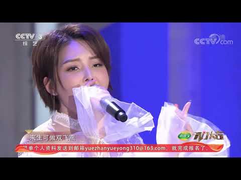 崔子格  双飞燕（《开门大吉》