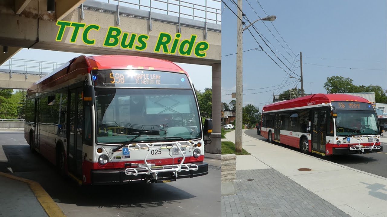 maple leaf bus tours