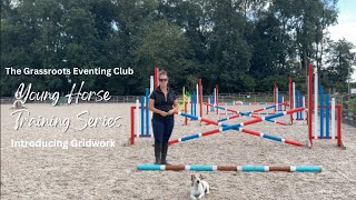 Young Horse Training Series | Introducing Gridwork | The Grassroots Eventing Club.