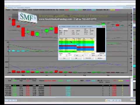 Hgsi Stock Chart