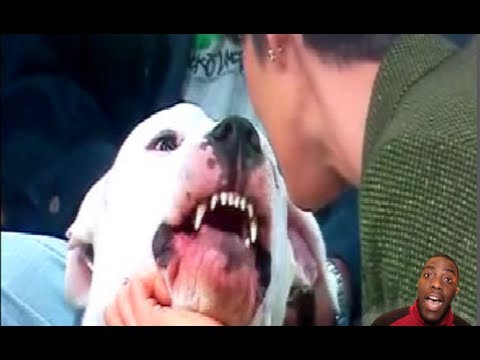biting your bottom lip