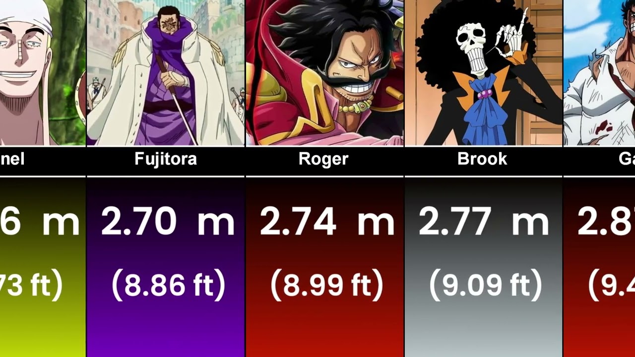 All One Piece Characters Height Compared