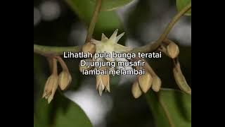 Bunga Tanjung (High Quality) - MinusOne - Original Key