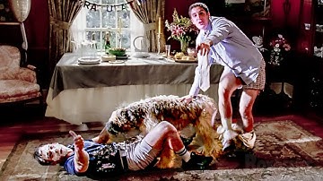 きゃ~スティフラー、犬となんて!| アメリカン・パイ3 ウェディング大作戦 | 映画シーン