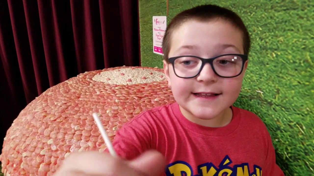 Candytopia Family Fun! Is it worth the price? YouTube