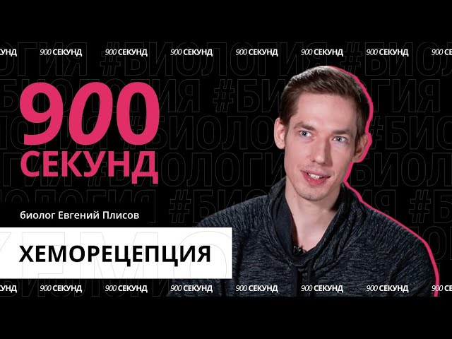 сколько видов вкусовых ощущений может различать человек сколько видов вкусовых ощущений может различать человек