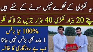 Very Rare & New Profitable Business in Pakistan|New unique Business idea|Asad Abbas chishti