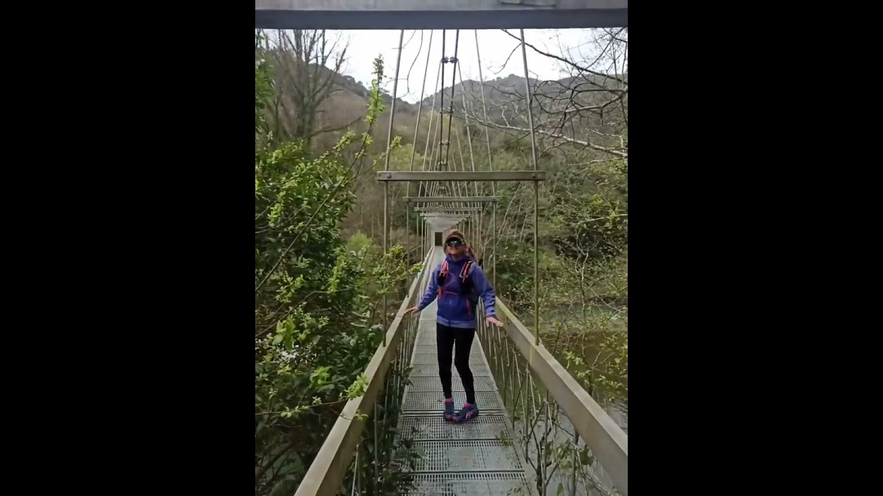 Puente colgante sobre el río Deva. Asturias