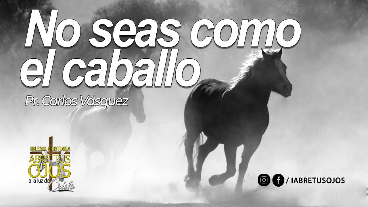  No Seas Como El Caballo Pr Carlos V squez 02 Abril 2023 YouTube