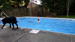 VID_20170607_192458097.mp4