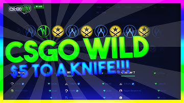 CSGO $5 TO A KNIFE (Completed)
