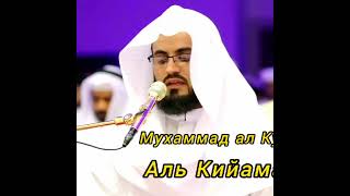 Muhammad al Kurdi (075. Al Qiyama) Мухаммад аль Курди (075. Ал Кийама)