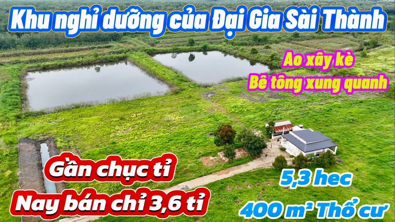 Của 10 tỉ nay bán 3,6 tỉ. Nhà vườn nghỉ dưỡng 5,3 hecta, View suối. Tặng 3 ao cá khủng, nước vô tận.