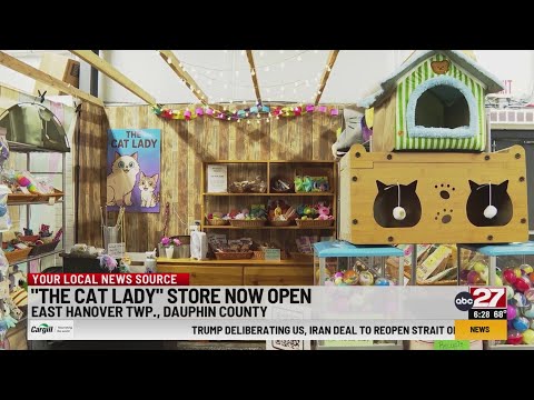 The Cat Lady' store opens in Dauphin County - YouTube