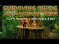 Surviving Inside an Ancient Tree 🌲title ko analyze kar k thumbnail bna k do