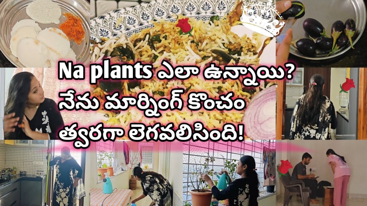 Morning to evening vlog 😍నేను డైలీ మార్నింగ్ ఏ టైమ్ కి లెగుస్తాను🤔?ఇంకా త్వరగా లెగిసిఉంటే బాగుండేది.