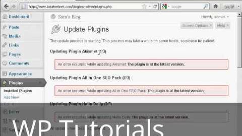 Video 9  Upgrade or Delete Plugins Automatically