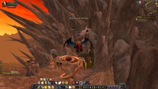 Quest 938: Wyrmskull Watcher (WoW, human, paladin)
