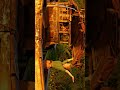 this movie is qualities this is very dangerous movie sirese#explore #shortsfeed #viralshort