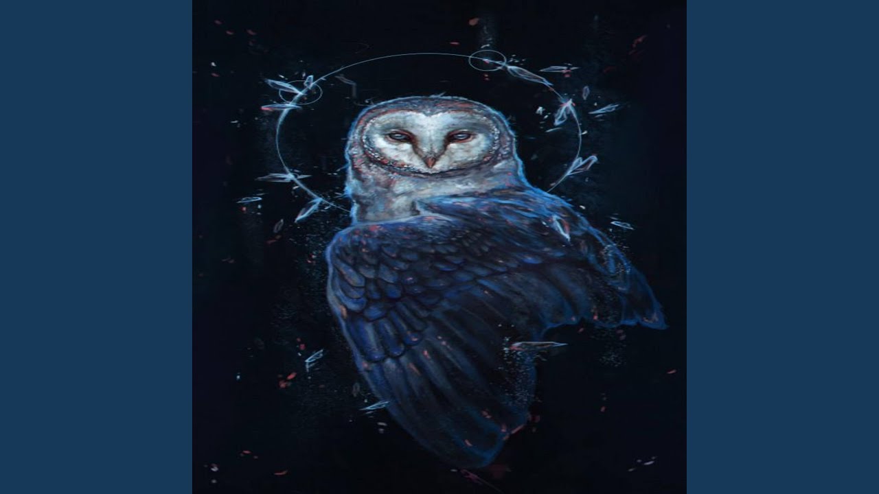 Watch KOLO on YouTube Watch KOLO on YouTube