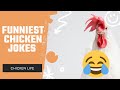 Funniest Chicken Jokes