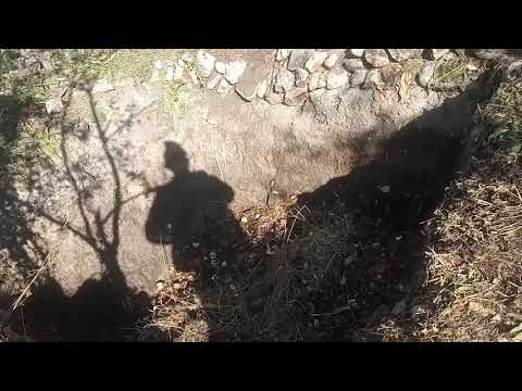 Video: Дан калдыктарынан жер семирткичтерди даярдоо